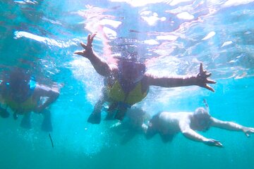 Snorkel with Fish, Rays, Turtles, and more!