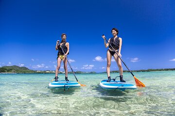 [Ishigaki]SUP/Canoe tour at Kabira Bay+ Snorkeling Tour at Phantom Island