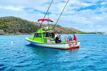 Guided VIP Snorkeling Tour (Morning & Afternoon Bookings Available)