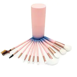 Professional Makeup Brushes 12pcs Soft Full Coverage Lovely Travel Size Comfy Plastic for Makeup Tools Makeup Brushes Makeup Brush Makeup Brush Set Lightinthebox