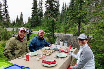 Mount Rainier National Park Luxury Small-Group Day Tour with Lunch