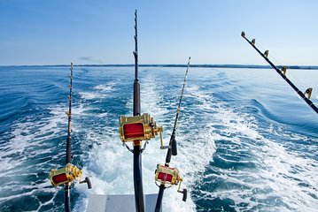 Guided 8 HR Full Day Fishing / Snorkel Private Charter Trip 40' Mega Bite