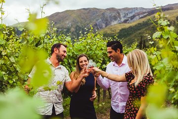 Wine Sampler Tour