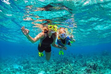 Key West Sunset Snorkel with Unlimited Draft Beer & Wine