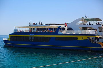 Paradise con-Quest Semi Submarine 2 Hours _ with Snorkeling