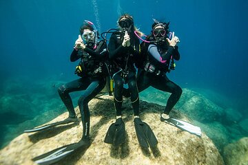 Ras Muhammed & White Island Snorkeling Trip and One Stop Diving -Sharm El Shiekh
