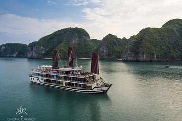 Halong Bay - Orchid Cruise 5 Star for 2Day/1Night
