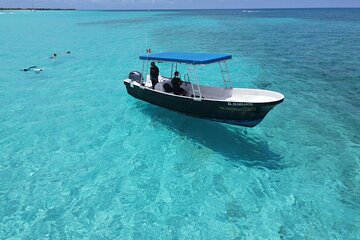 Cozumel Private 4-hour Boat Tour to El Cielo with Snorkeling