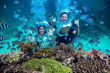 Sea Walker - DIVING, SNORKELING AND WATCHING CORAL REEFS