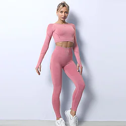 Women's 2pcs Yoga Suit Yoga Set Winter 2 Piece Seamless Cropped Leggings Crop Top Clothing Suit Green Rosy Pink Yoga Fitness Gym Workout High Waist Tummy Control Butt Lift 4 Way Stretch Long Sleeve Lightinthebox