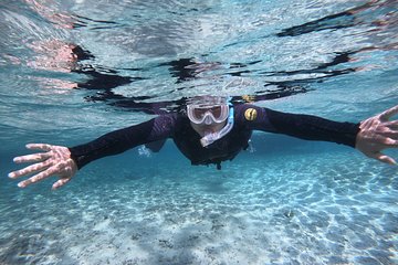 For exclusive use! Snorkel plan! [Okinawa Prefecture Gorilla Chop] Gopro Photo & Feeding Free! Available from 3 years old