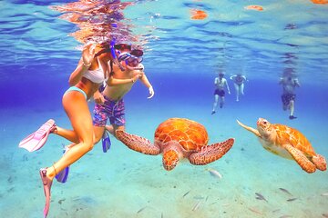 Swim with Turtles Private Half-day Motorboat to Rose Island Beach w/ Snorkeling