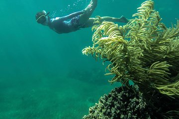 Isla Mujeres Snorkeling Tour from Cancun or Riviera Maya