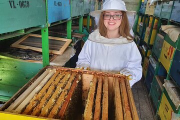10 hours Private Apiary Tour in Romania - From Bucharest