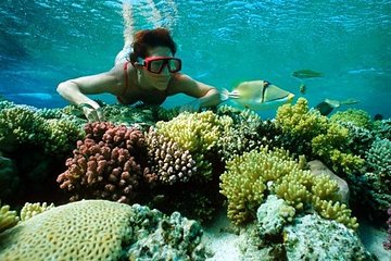 Save 20.00%! Full Day Snorkeling Trip to the Red Sea in Safaga from Luxor