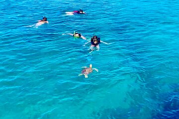 Full day Turtle Snorkel and Beach Getaway