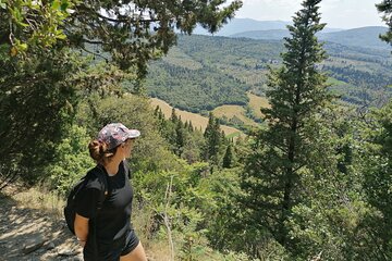 Chianti and Fiesole Hiking Excursion from Florence