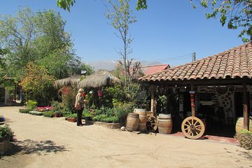 Private Santiago and Neighborhoods Tour: San Cristobal Hill & Artisan Village