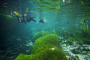 Sucuri River Snorkel Tour
