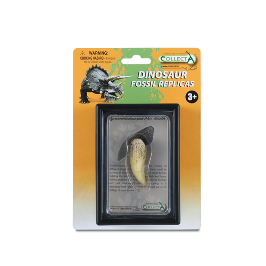 CollectA Tooth Of Tyrannosaurus Rex Box Set