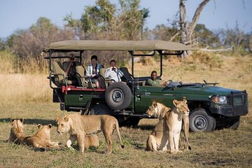Chobe Sunrise upto Sunset Day trip from Victoria Falls (5AM - 7PM)