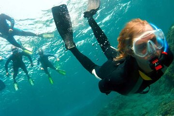 Private Snorkeling Experience on the Island of Tenerife