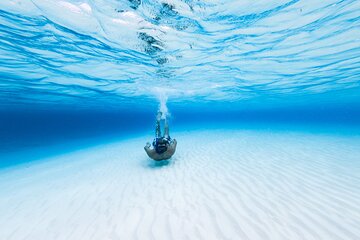 Cozumel Snorkel Tour: Coral Reefs, el Cielo & Beach Break®