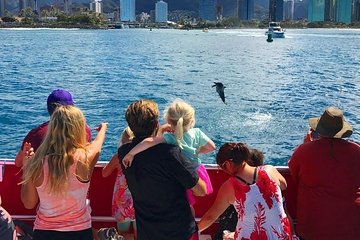 Hawaii | Waikiki Beach Sightseeing Cruise - Glass Bottom Boat