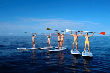 Private - Beginner Paddleboarding 101 Lesson - Makena Landing - Turtle Town!