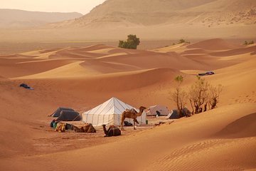 Agadir / Zagora Tour 2 days 1 night in nomadic tents