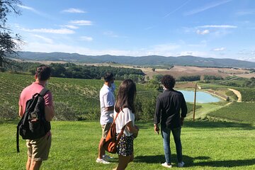 Guided Siena Tour followed by Lunch in a Winery