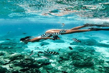 Bali Snorkeling Trip at Blue Lagoon & Tanjung Jepun