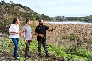 Great Ocean Road and Otway Discovery 2 Day Tour