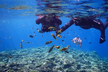 【OKINAWA / Minna Island / Sesoko Island】 Boat Snorkeling Course (1site) for only one group in the afternoon Free photography!!