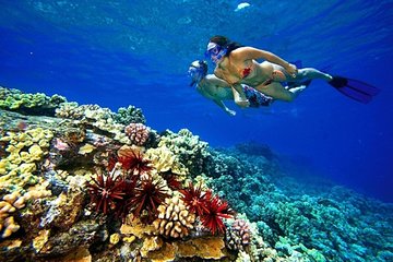 Private Snorkeling by Boat to Ras Mohamed