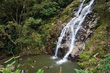 Minca + Marinka Waterfalls + Coffee Farm La Victoria Tour 7H