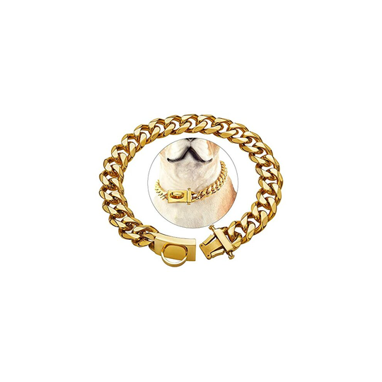 Gold Dog Chain Collar Metal Choke Collar with Design Secure Buckle, Chew Resistant, Heavy Duty Stainless Steel Walking Training Chain Leash Colla