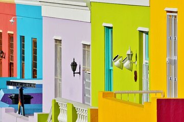 City Tour and Constantia Wineries