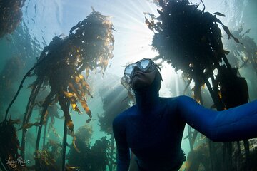 Snorkel Safari