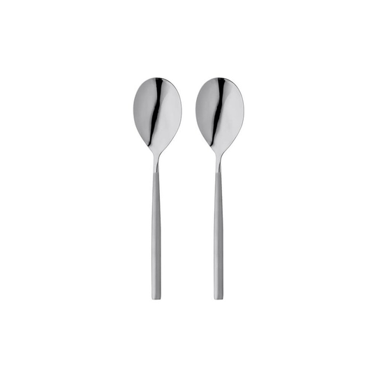 Stellar Rochester Matt Set Of 2 Serving Spoons Gift Box Set