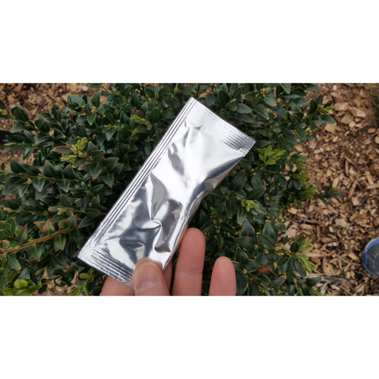 Season Long Buxus Lure