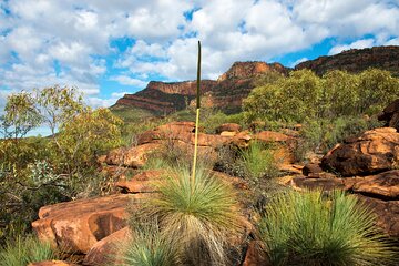 6-Day Eyre Peninsula & Flinders Ranges Adventure Tour