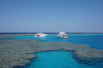 Coral Garden Amazing Snorkeling Sea Trip With Lunch With Transfer - Marsa Alam
