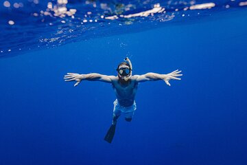 Tiran Island Snorkeling Trip