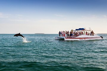 The Key West Dolphin & Snorkel Experience