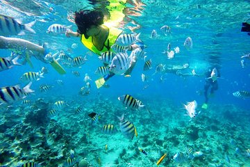 Snorkeling tour & Sosua Beach Day