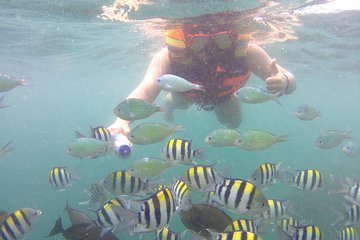 Shore Excursion >> Snorkeling to Gili Nanggu & Gili Kedis Honeymoon Island