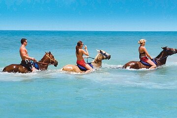 Horseback Ride and Swim Private Tour from Montego Bay