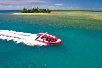 Option A: 2 1/4 hour Low Isles Reef Sprinter Snorkelling Tour