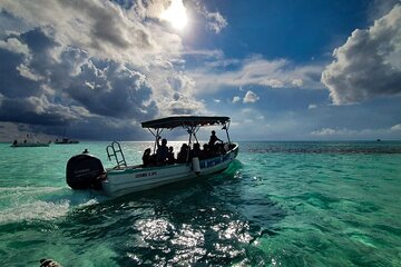 Full Day Tour to Cozumel with Snorkel and Beach from Cancun